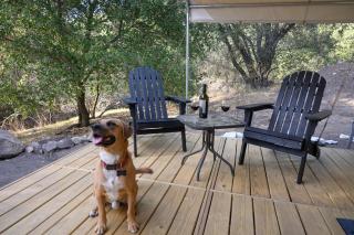 Boutique Nature Retreat in the Palomar Mountains - 2