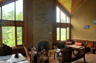 Heritage Satikva Resorts and Spa - 4