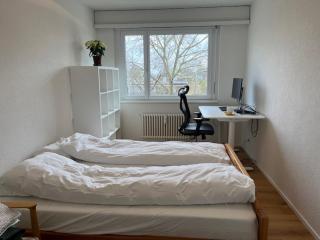 Green Basel Home - 7