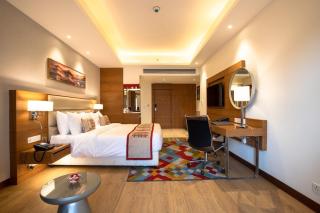 Hotel The Helix Near Delhi Airport - 6