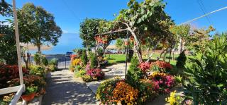 Villa DANIEL Pestani - 1