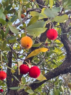 Alcarria , Casa del Agua - 8