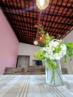 Sítio Bela Vista - 7