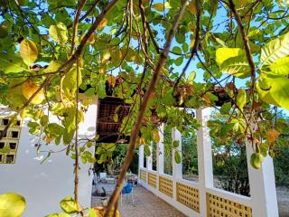 Sítio Bela Vista - 2