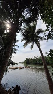 Acmi Villa with River View - 8