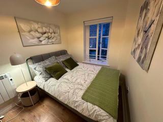 Dublin Central Spacious 2BR Apt in Temple Bar - 7