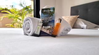 T2 Kamala - 50m2 avec terrasse extérieure - Sainte-Clotilde - 5