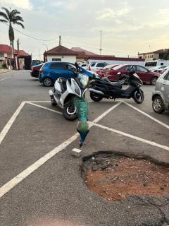 Room in Stylish City Apartment - 5