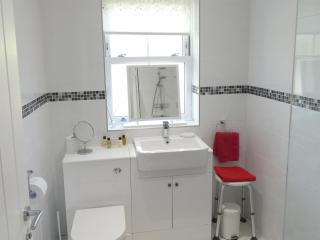 Railway Cuttings - 2