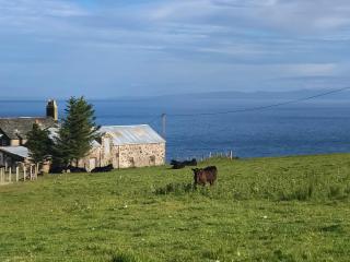 Ballygroggan Bungalow - Uk38174 - 2