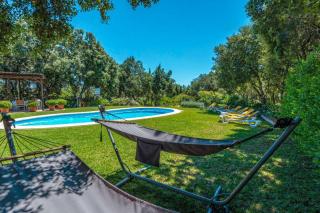 Can Llamas by Vintage Travel - 9