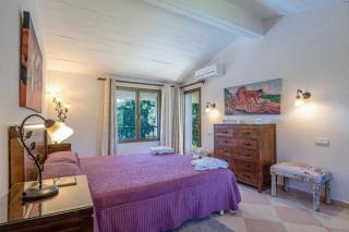 Can Llamas by Vintage Travel - 6