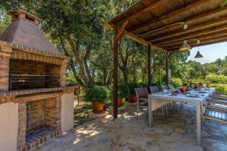 Can Llamas by Vintage Travel - 1