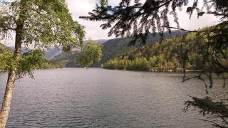 Charmant gîte vosgien avec 9 chambres pour 22 personnes - 4