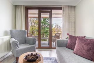 Cozy 1BR & Sofabed with Two Inviting Balconies - 9