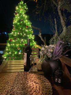 Casa del Árbol Sesquile - 8