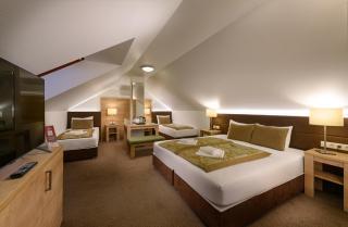 Hotel Honti Wellness és Konferencia Szálloda - 4