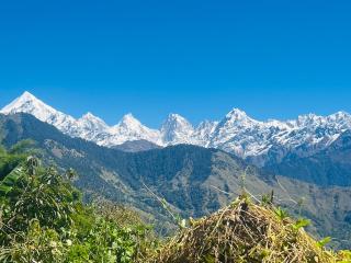 Neer Stays Munsyari - 5