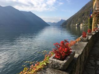 Lakefront with garden - 4