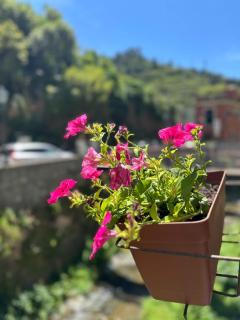 Camere Fontanavecchia - 7