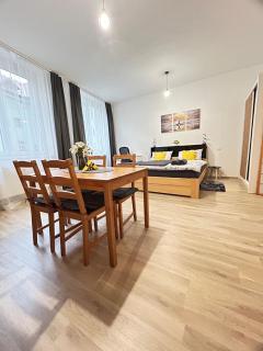 Ubytování v srdci Písku - 7