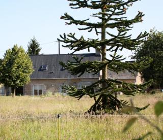 Gîte La Poterie - Jupilles - 0