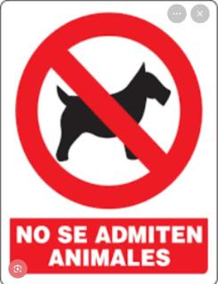 Monoambiente en posadas - 8