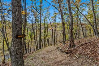 Camp Dancing Bears - Wifi, Riverfront, Pet Friendly, Fire Pit, Grill, Deck, Fishing, Games, Fireplace, King Bed - 9