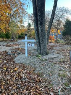 Sunny river view suite - 9