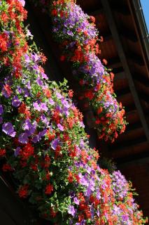 Haus Marlene Kaiser - 3