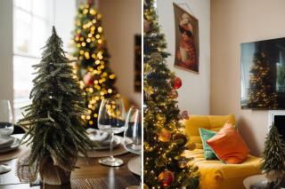 Stylish 2-Bed Apartment by Torquay Harbour - 4