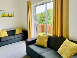 Large Bright Character Apartment with Balcony - 7