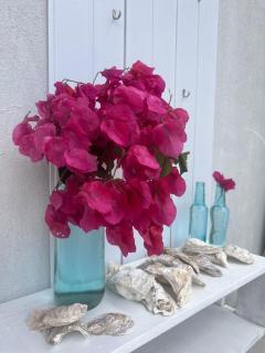 Sabiaguaba Duplex Mansão Beach - 1