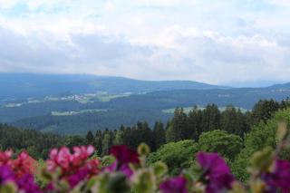 Ferienhof Kagerbauer - 8