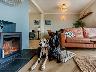 3 Bed in Aberaeron 88788 - 5