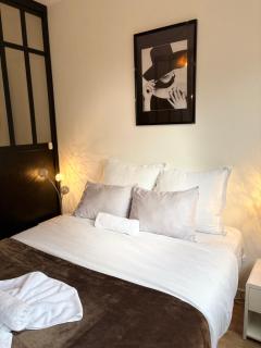 Magnifique logement hyper centre Mulhouse Lambert - 9