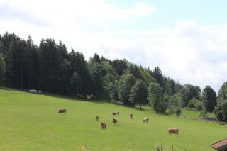 Ferienhof Kagerbauer - 2