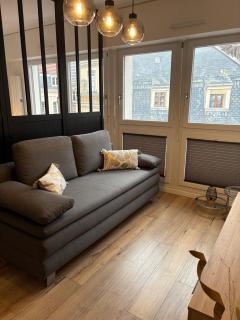 Magnifique logement hyper centre Mulhouse Lambert - 7