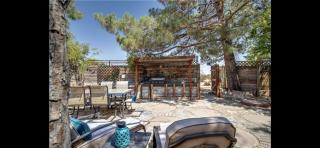 Desert Dreams with Your Furry Friend: Pet-Friendly Rental Under the Stars - 4