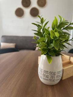 Apartamento C Fuertevali - 1