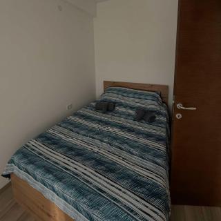 apartmanjagodinaana 2 - 9