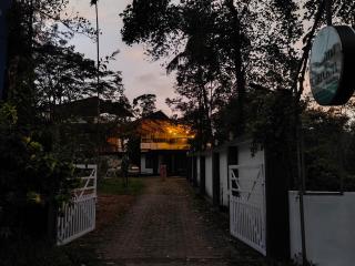 Forest Soul by BOB - 0