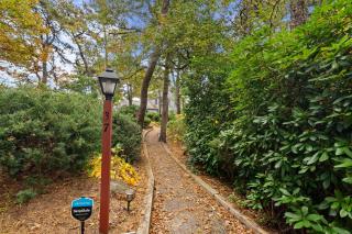 Waterfront on Swan Pond with Kayaks - 6