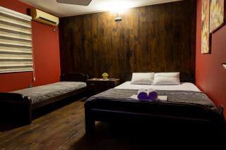 Guest House Vila Salute - 4