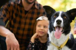 Residence Cernaia - Private Cottage - 3