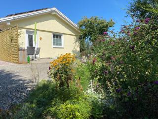 Allgäu- Ferienwohnung mit Hund - 3