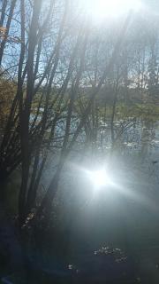 Le gîte du coin - 8