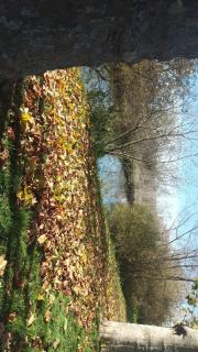 Le gîte du coin - 9