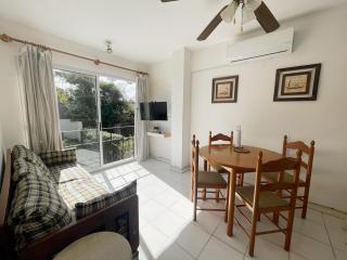 Punta del Este a 100 mts de la playa - 0