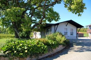 Ferienwohnung auf dem Weingut am Klotz - 9